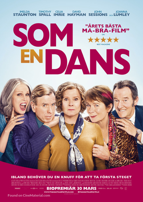 Finding Your Feet - Swedish Movie Poster