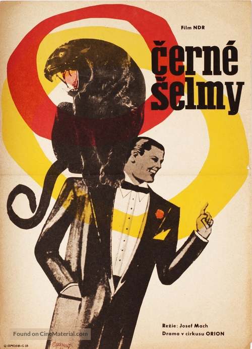 Schwarze Panther - Czech Movie Poster