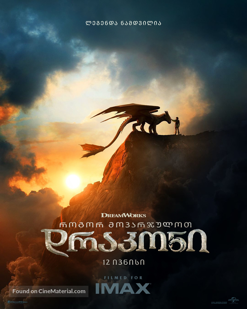 How to Train Your Dragon - Georgian Movie Poster