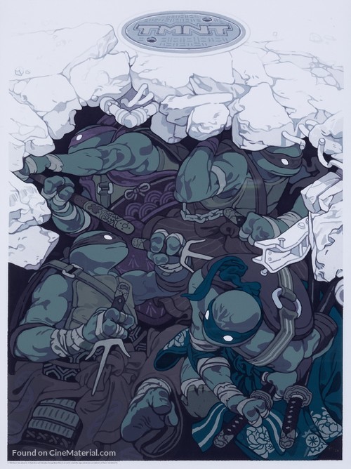 Teenage Mutant Ninja Turtles - poster