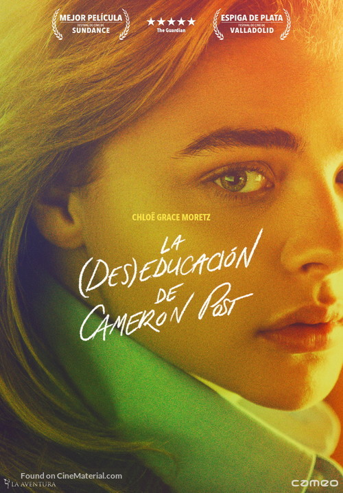 The Miseducation of Cameron Post - Spanish DVD movie cover