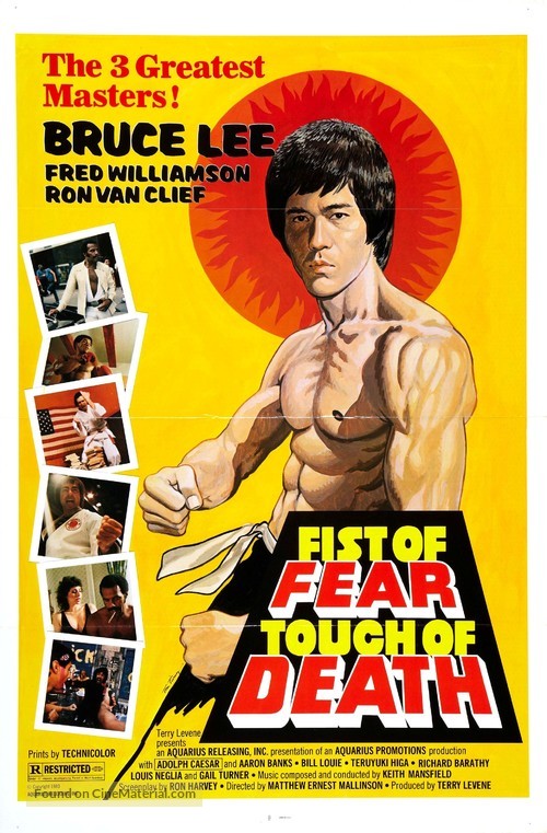 Fist of Fear, Touch of Death - Movie Poster