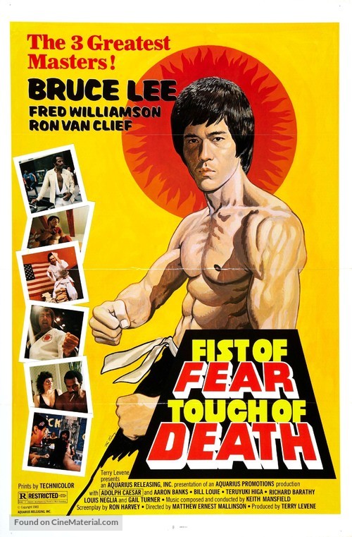 Fist of Fear, Touch of Death - Movie Poster