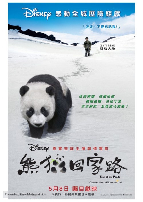 Touch of the Panda - Chinese Movie Poster