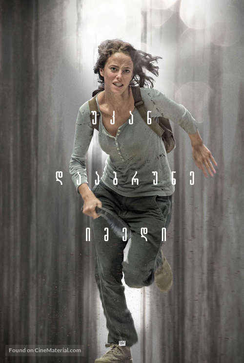 The Maze Runner - Georgian Movie Poster