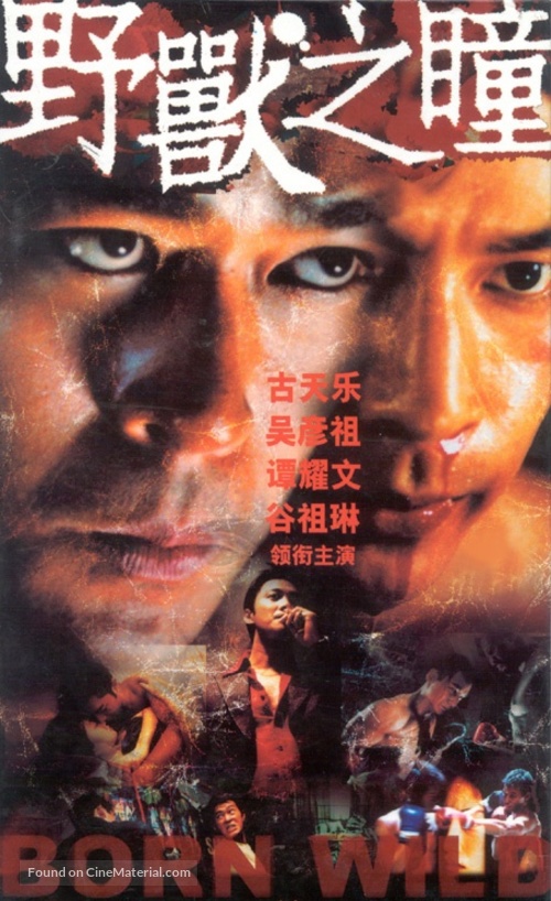 Born Wild - Chinese poster