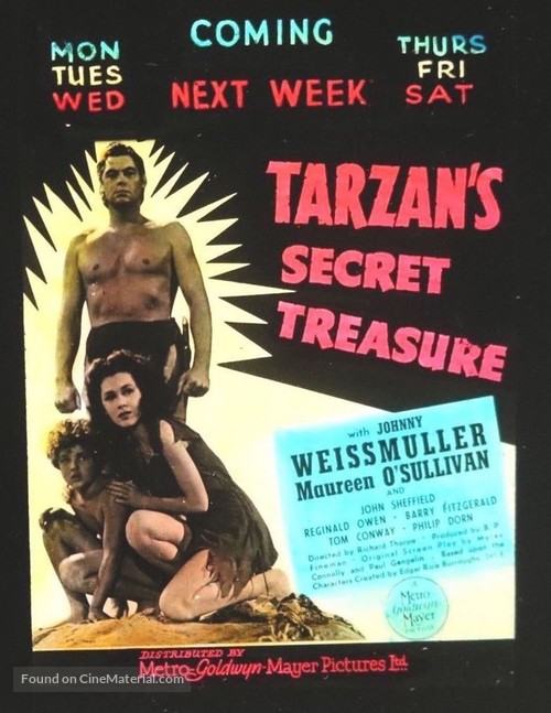 Tarzan&#039;s Secret Treasure - poster