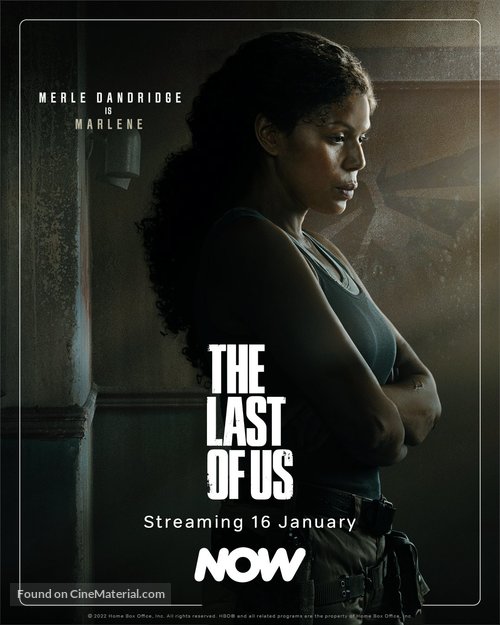 &quot;The Last of Us&quot; - Irish Movie Poster