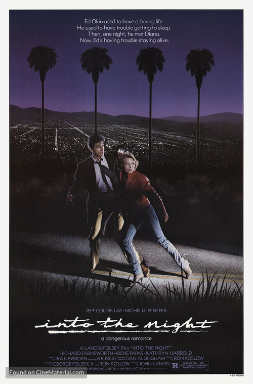 Into the Night - Movie Poster