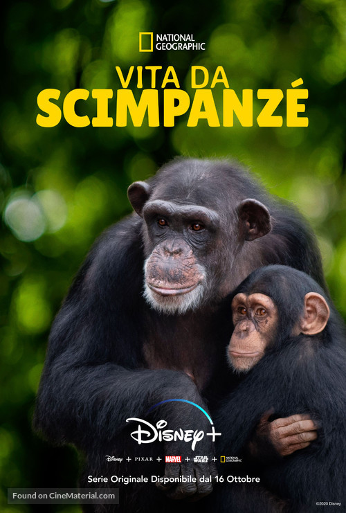 &quot;Meet the Chimps&quot; - Italian Movie Poster