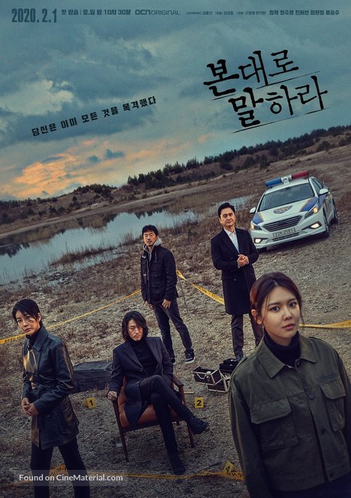 &quot;Tell Me What You Saw&quot; - South Korean Movie Poster