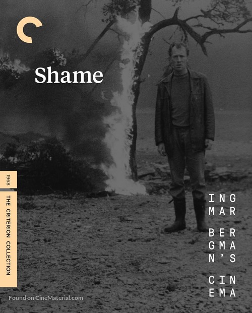 Skammen - Blu-Ray movie cover