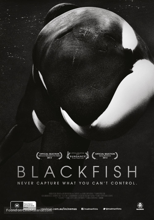 Blackfish - Australian Movie Poster