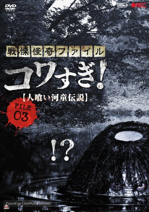 &quot;Kaiki Daisakusen: Mystery File&quot; - Japanese DVD movie cover
