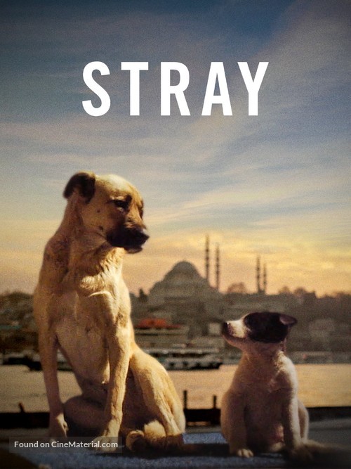 Stray - Movie Cover