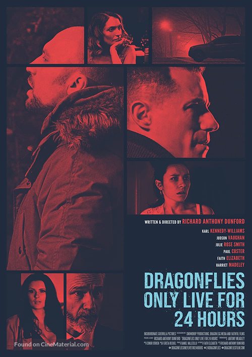 Dragonflies Only Live for 24 Hours - British Movie Poster