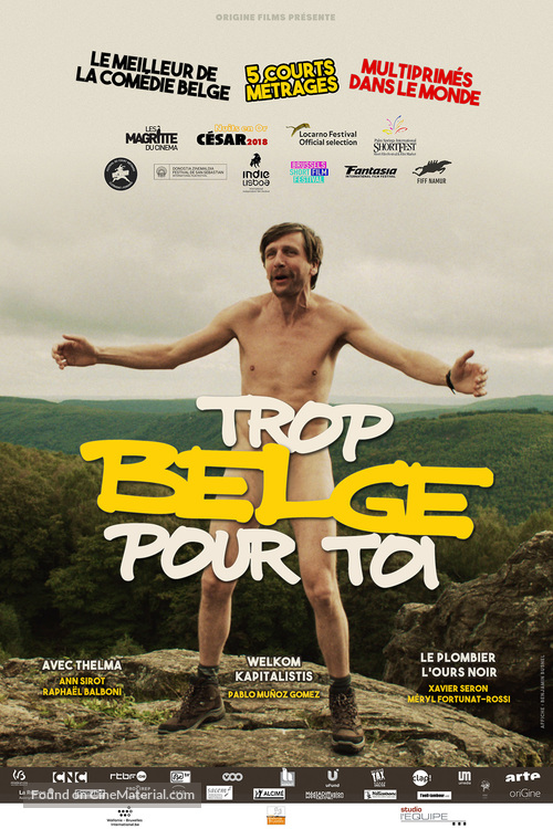 Trop Belge Pour Toi - French Movie Poster