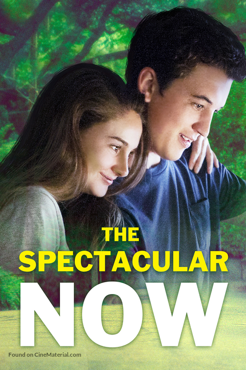 The Spectacular Now - DVD movie cover