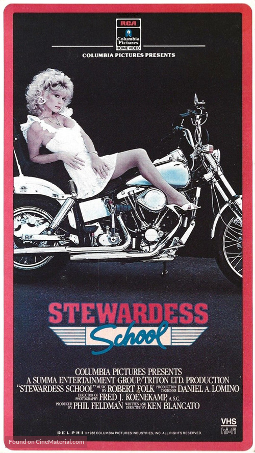 Stewardess School - Movie Cover