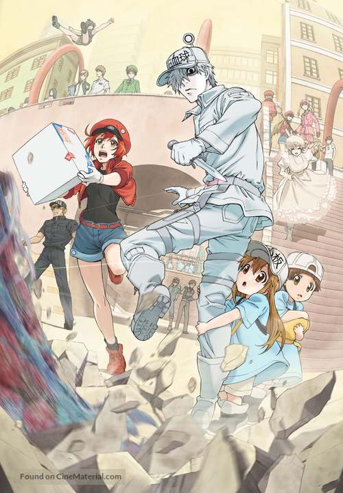 &quot;Hataraku Saibou&quot; - Key art