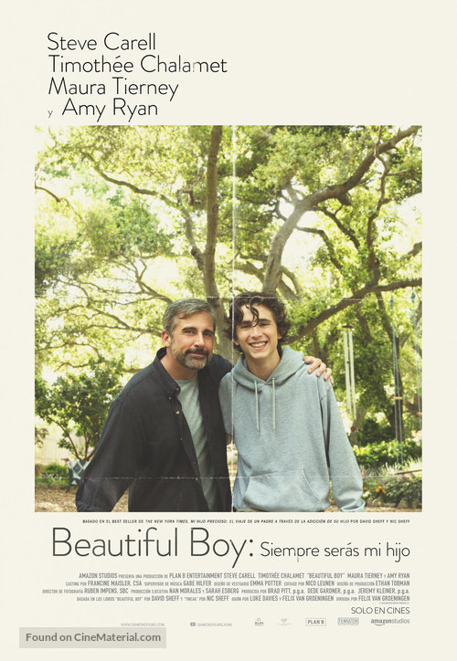Beautiful Boy - Argentinian Movie Poster