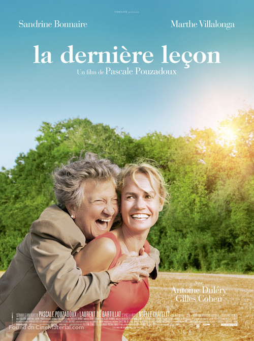 La derni&egrave;re le&ccedil;on - French Movie Poster