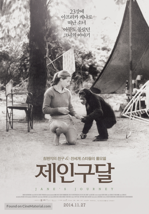 Jane&#039;s Journey - South Korean Movie Poster