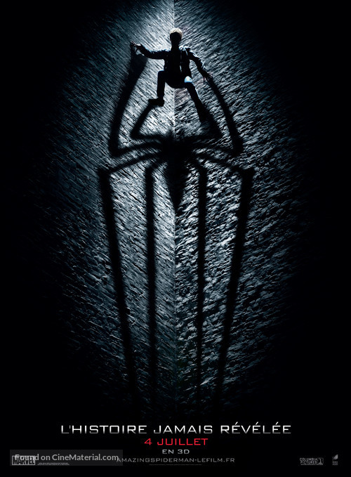 The Amazing Spider-Man - French Movie Poster