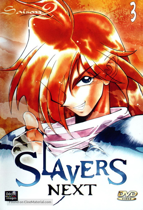 &quot;Slayers Next&quot; - French DVD movie cover