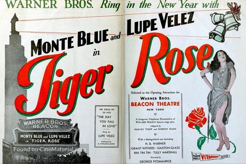 Tiger Rose - poster