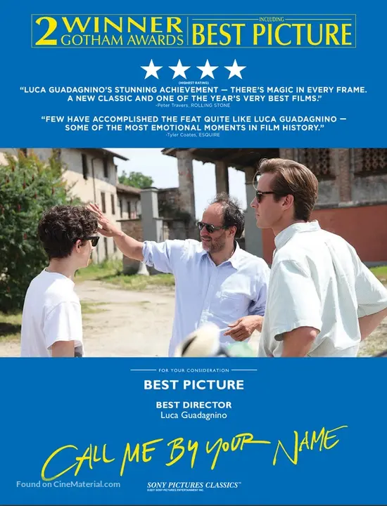 Call Me By Your Name 17 For Your Consideration Movie Poster Call Me By Your Name 17 For Your Consideration Movie Poster