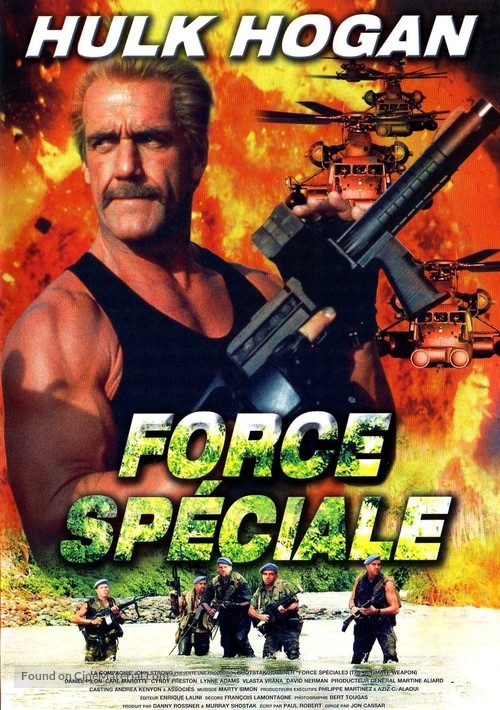 The Ultimate Weapon - French DVD movie cover