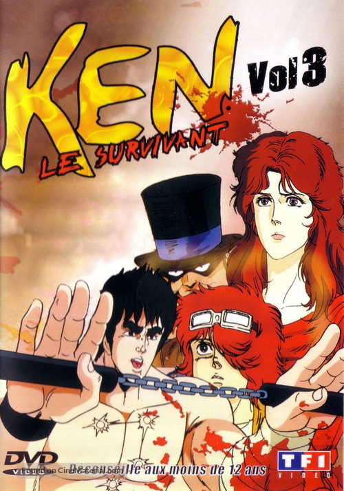 &quot;Hokuto no Ken&quot; - French DVD movie cover