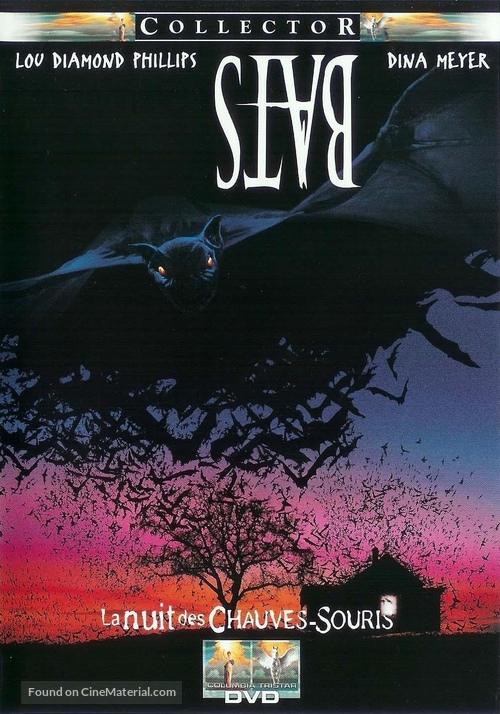 Bats - French DVD movie cover