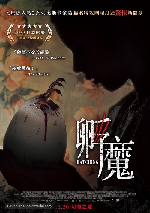 Pahanhautoja - Taiwanese Movie Poster