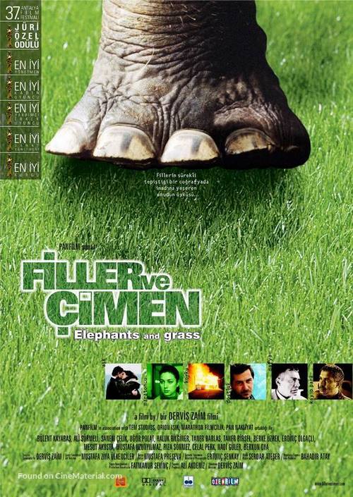 Filler ve &Ccedil;imen - Turkish Movie Poster