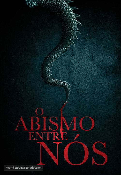 Matar al dragon - Brazilian poster