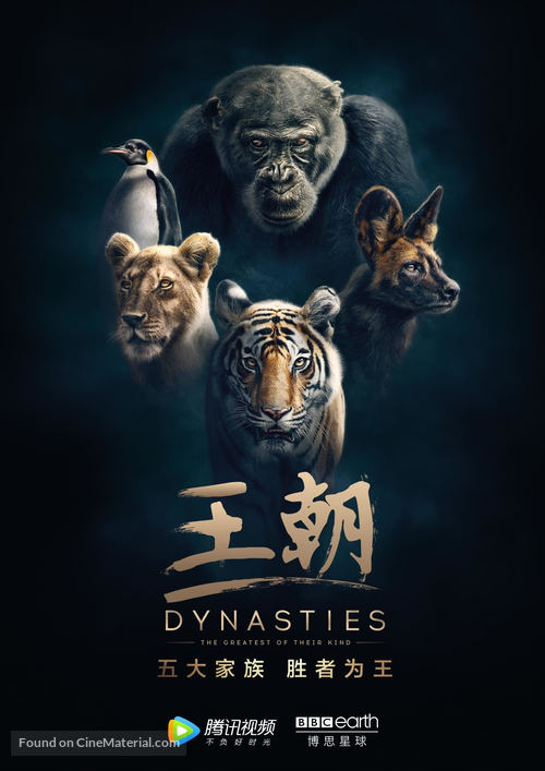 &quot;Dynasties&quot; - Chinese Movie Poster