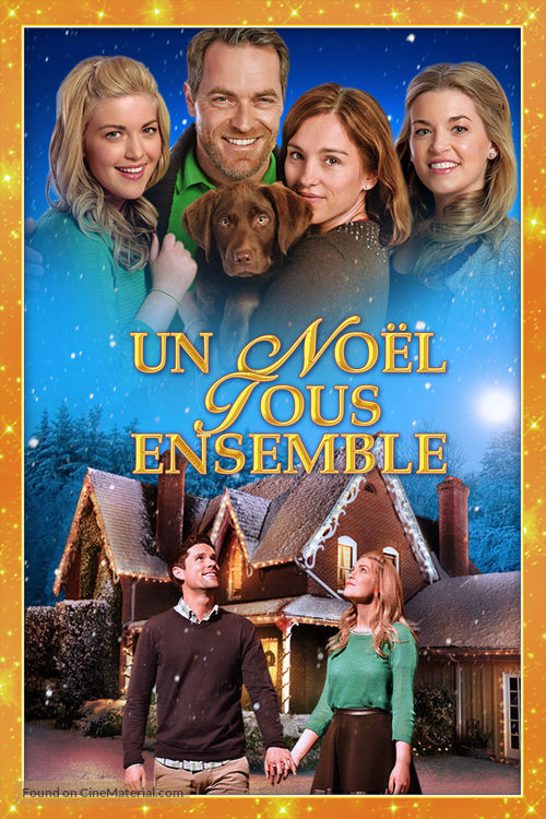 Coming Home for Christmas - French Movie Cover