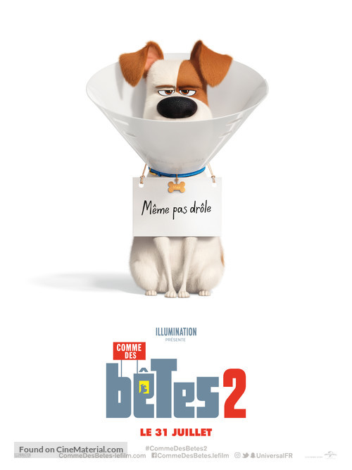 The Secret Life of Pets 2 - French Movie Poster