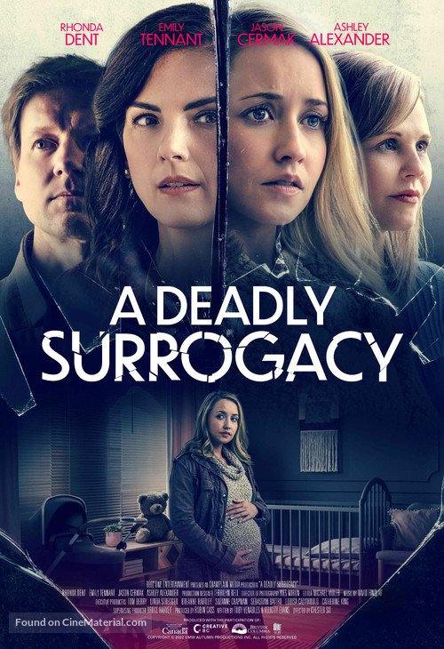 A Deadly Surrogacy - Canadian Movie Poster