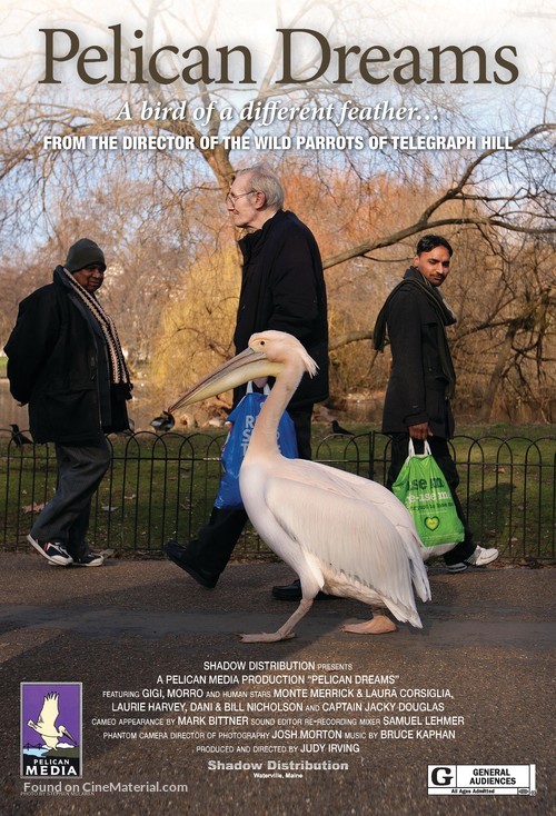 Pelican Dreams - Movie Poster