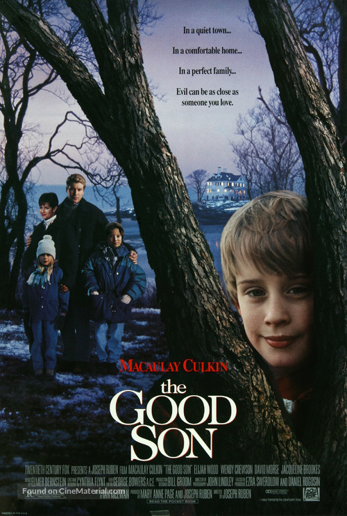 The Good Son - Movie Poster
