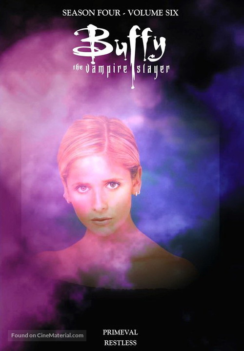 &quot;Buffy the Vampire Slayer&quot; - DVD movie cover