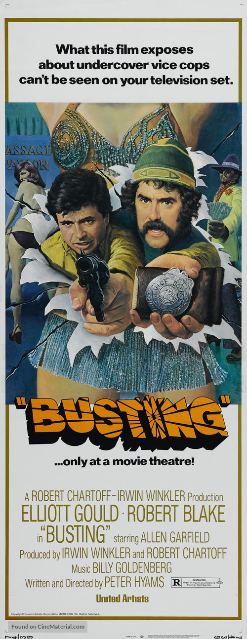 Busting - Movie Poster