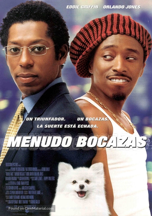 Double Take - Spanish Movie Poster