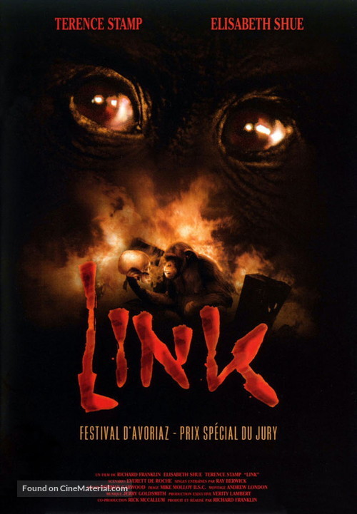 Link - French Movie Cover