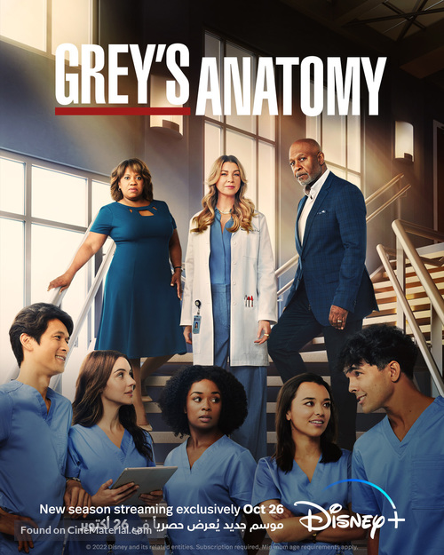 &quot;Grey&#039;s Anatomy&quot; -  Movie Poster