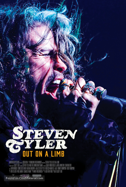 Steven Tyler: Out on a Limb - Movie Poster