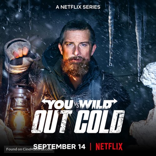 You vs. Wild: Out Cold - Movie Poster